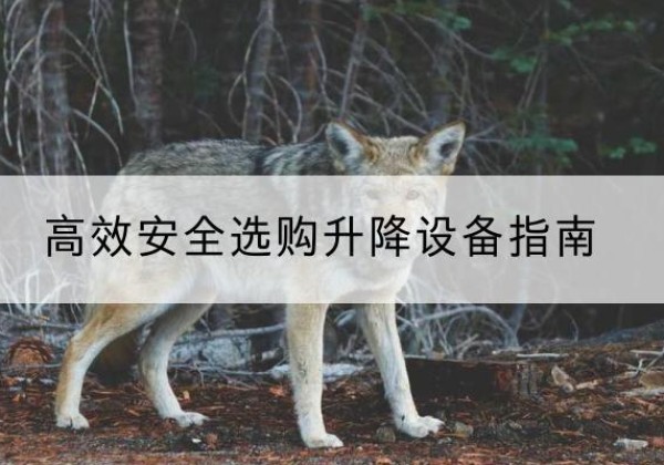 孝南升降货梯厂家推荐-*安全选购升降设备指南
