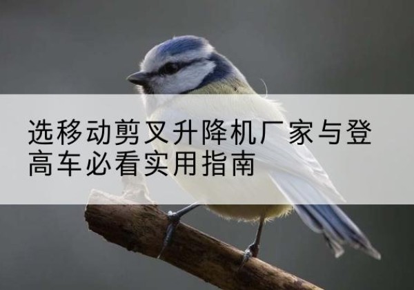 孝南电动升降机厂家-选移动剪叉升降机厂家与登高车必看实用指南